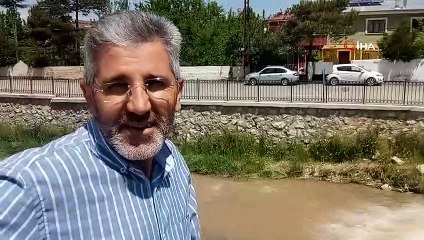 Uçan balıklar bu kez şehir merkezine göç etti