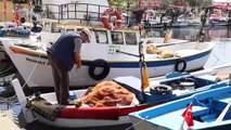 Taze balık, küçük tekne balıkçılarından - TEKİRDAĞ
