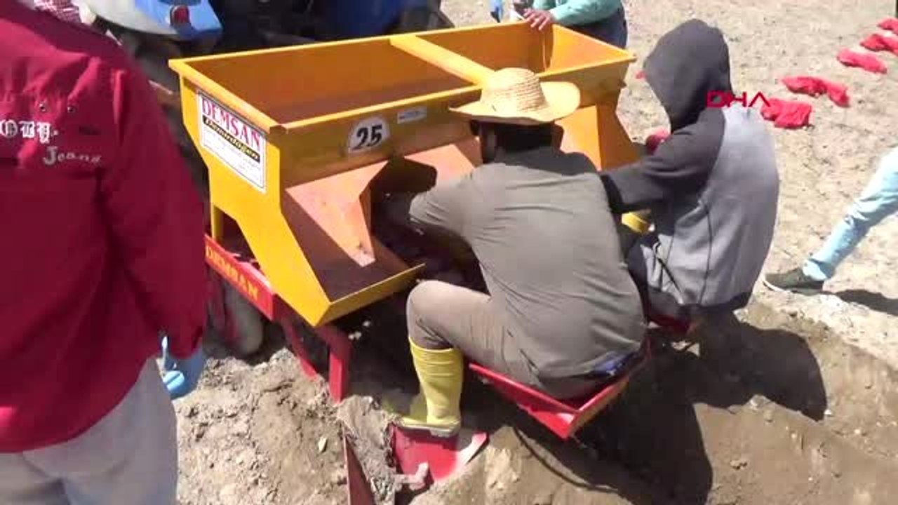 Niğde Kuraklığa Dayanıklı Patates Geliştirildi-Yeniden