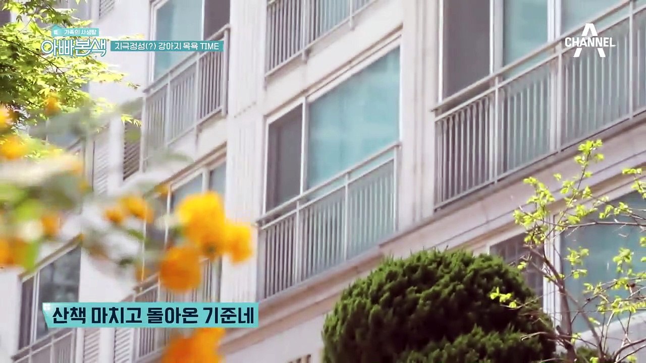 지극정성(?) 기준과 아들 지호의 강아지 목욕 TIME!(ft.개금손⊙_⊙)