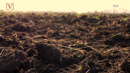 Washington State Becomes The First in the Nation to Allow Human Composting