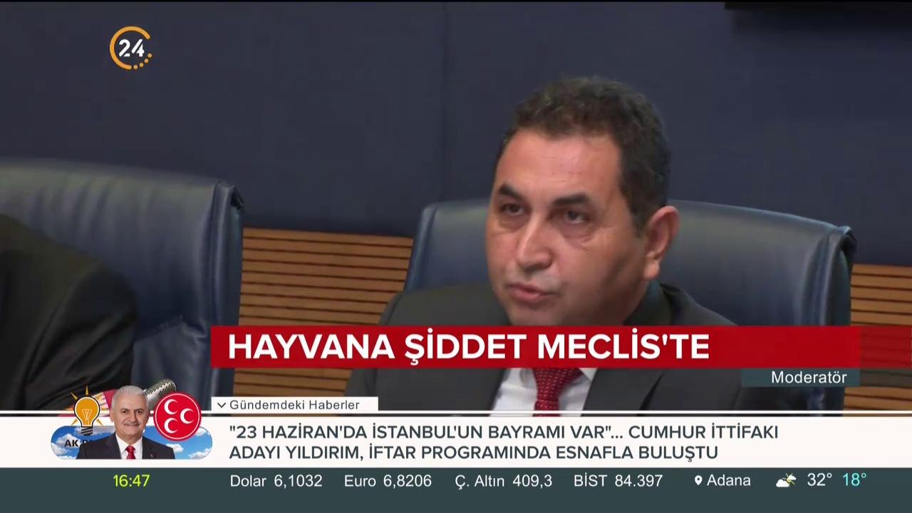 Hayvana şiddet Meclis'te
