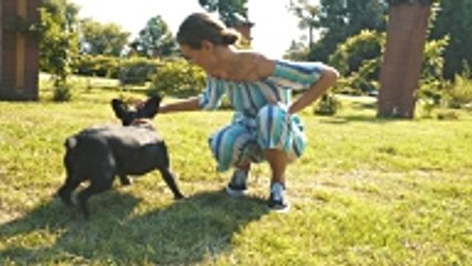 Positive Hundeerziehung: Gewaltfrei & Erfolgreich 🐶