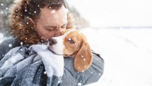Tipps, damit dein Hund den Winter übersteht