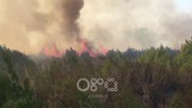 RTV Ora - Zjarri masiv përfshin pyjet e Darzezës, digjen 15 hektarë pisha