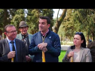 Bashkia pranë rekordit për pemët - Lajme - Vizion Plus