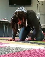 Un beau bébé blaireau nord-américain dont vous allez tomber amoureux si vous le regardez !