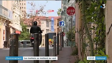 Montpellier : des plantes sur les trottoirs