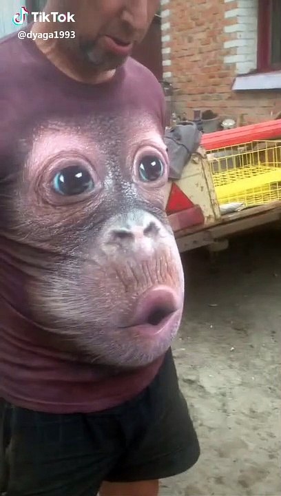 O macaco que assobia