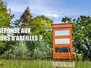 Protéger les abeilles contre un parasite mortel