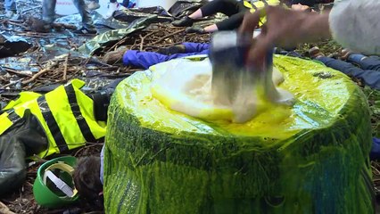 Opération "nature morte" de militants écolos chez Bayer-Monsanto