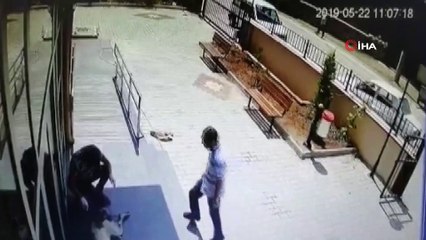 Silahla vurulan yaralı köpek aile hekimliğine sığındı