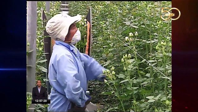 Restricciones en la Fiscalía por la entrega de información a los medios de comunicación