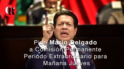 Mario Delgado pide periodo extraordinario.