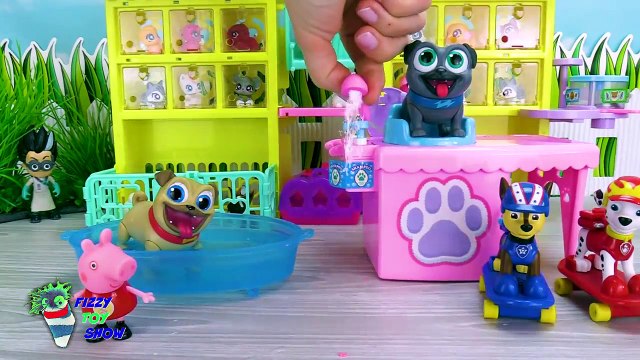 Paw Patrol Pj Masks Puppy Dog Pals and Teen Titans Go Surprise Toy Blind Boxes