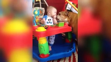 Bulldog Divertido y El Bebé Son Los Mejores Amigos--Gracioso Bebé y Mascota