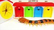 Giant insect Go into the Box Toys Cockroach Centipede Tayo the Little Bus Garage - BooBooToys