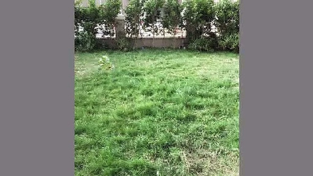 شقة بحديقة مفروشة بالكامل للبيع في فيلدج جيت القاهرة الجديدة