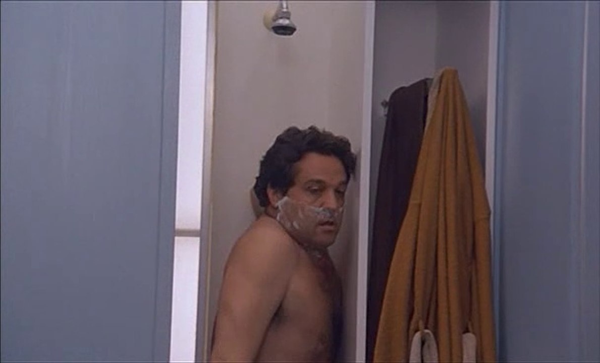 Il Ragazzo Di Campagna (Renato Pozzetto, Massimo Boldi) 2T