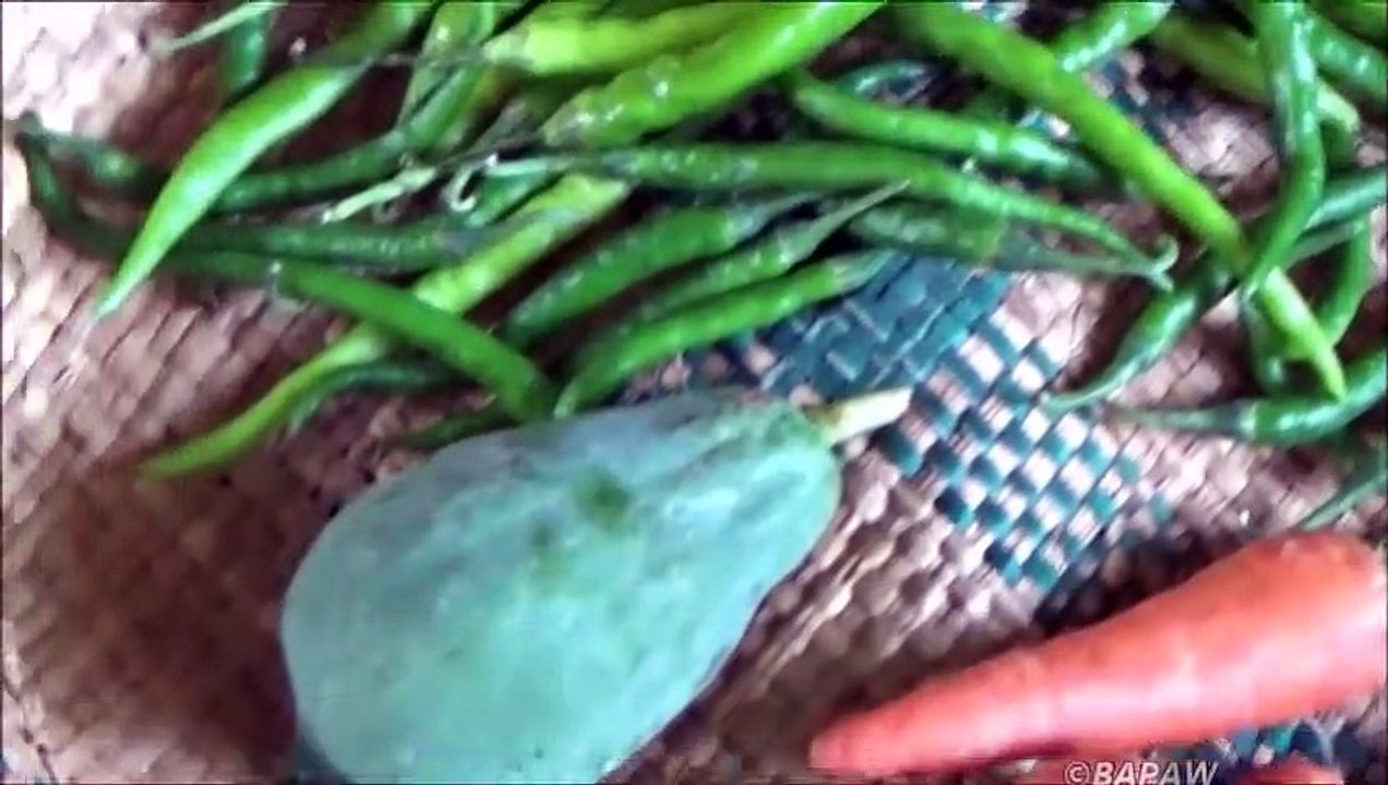 Village Aliments  Village Traditionnel de Style Cornichons préparés par ma Maman