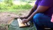 Alevins de poissons Recette  Réservoir d'Alevins de Poissons par la Petite-Fille, Mère | Village de la Nourriture