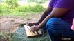 Alevins de poissons Recette  Réservoir d'Alevins de Poissons par la Petite-Fille, Mère | Village de la Nourriture