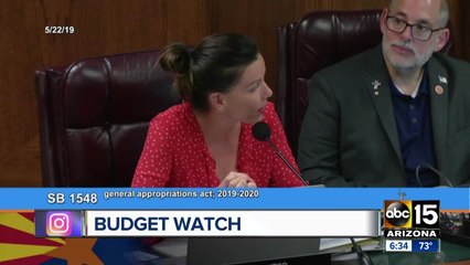 Arizona Legislature begins debate on $11.8 billion budget
