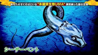 リトルトーキョーライフ 未確認生物“UMA”の真相に迫る - 19.05.22