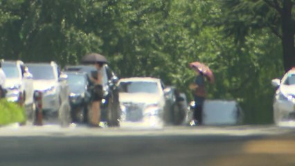 올여름도 역대급 폭염...늦은 장마에 국지성 호우 / YTN