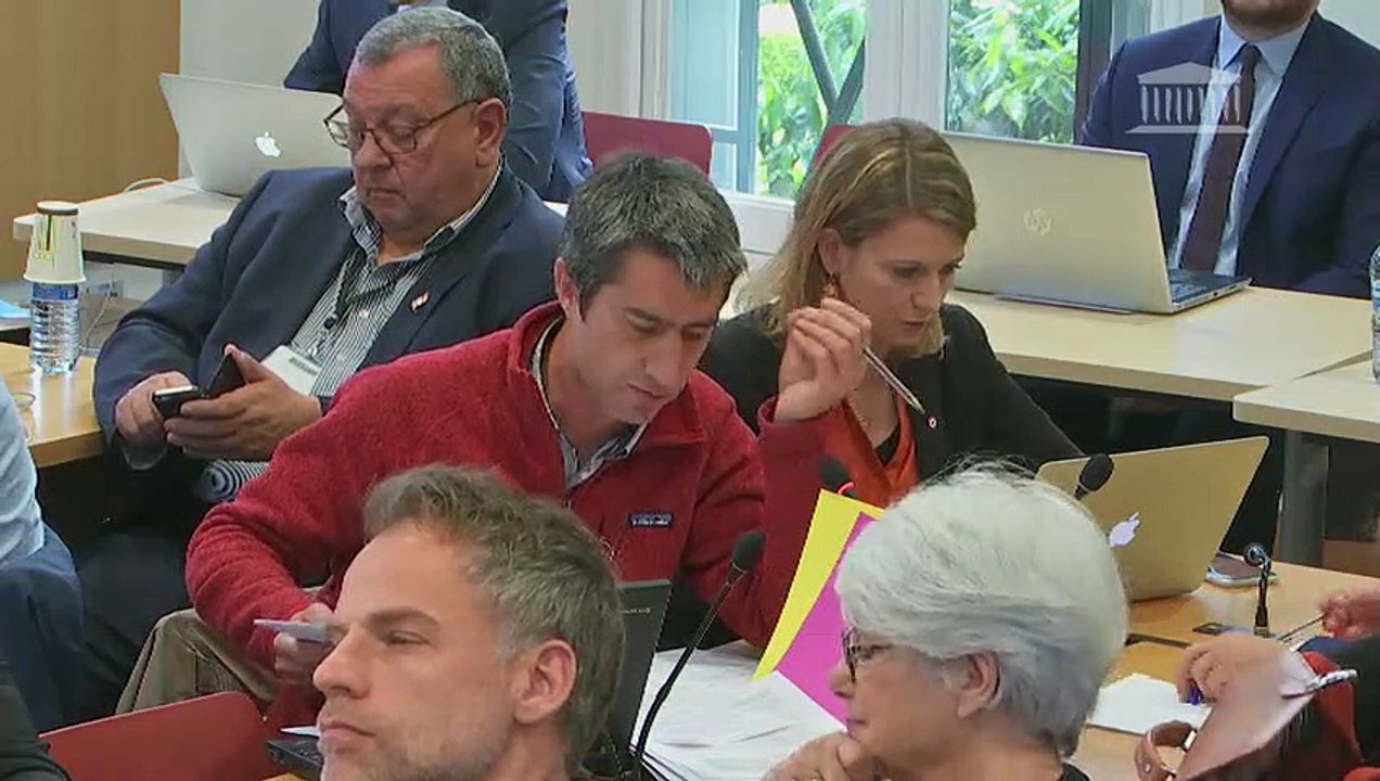 Commission du développement durable : M. Augustin de Romanet, président directeur général d’Aéroports de Paris - Mercredi 22 mai 2019