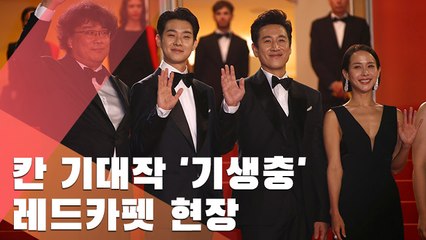 [현장] 칸의 밤 달군 봉준호 '기생충' 레드카펫