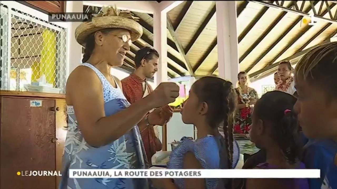 Punaauia , la route des potagers