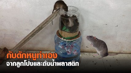 สอนวิธีสร้าง กับดักหนู แบบ DIY ที่จะทำให้เหล่าหนูตัวแสบตกตะลึง