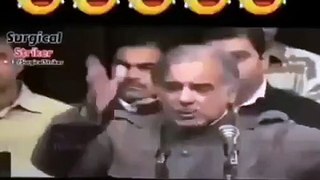 Best funny scene of Shahbaz Shareef ex Cm of Punjab