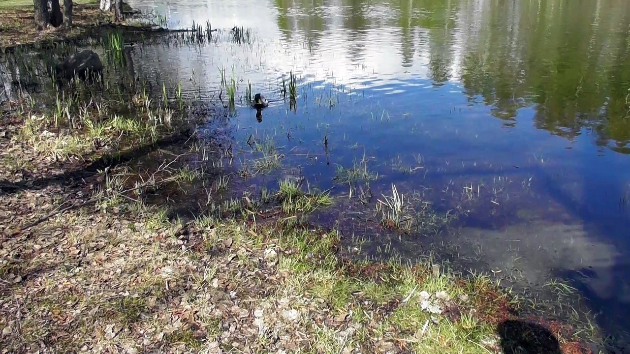 May 8 2019 F1