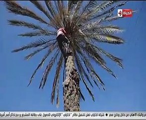 جورج قرداحى يسلم جائزة "اسم من مصر" لفائز من الشرقية