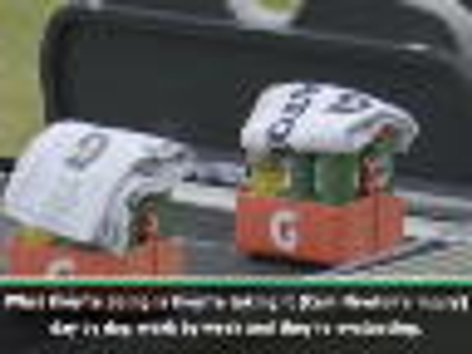 Panthers taking Newton's fitness 'day by day'