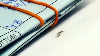 Une fourmi essaie de voler un diamant chez un diamantaire.