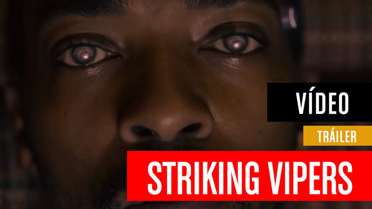 Black Mirror 5  -  Striking Vipers