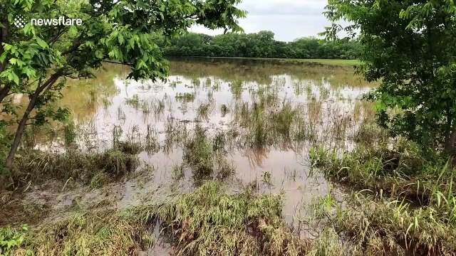 Devastating flooding continues to ravage Oklahoma, USA