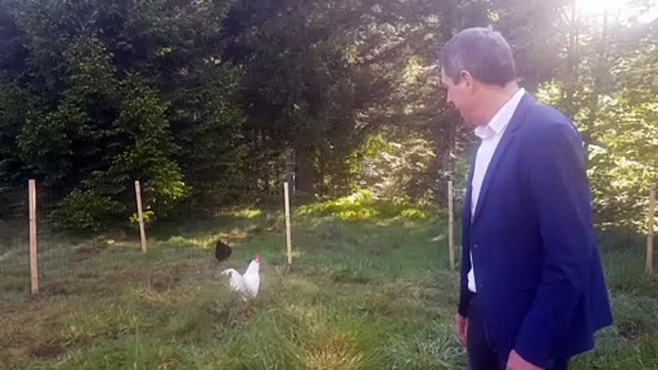 Quand le maire de Gérardmer reçoit un coq en cadeau