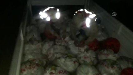 Kaçak Avlanılan 5,5 Ton Balık Ele Geçirildi