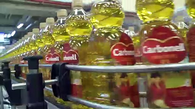 El estudio 'Salvemos el buen aceite' alerta sobre la desaparición de 500 mil hectáreas de olivo