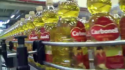 El estudio 'Salvemos el buen aceite' alerta sobre la desaparición de 500 mil hectáreas de olivo