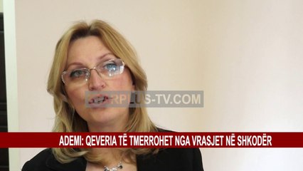 ADEMI: QEVERIA TË TMERROHET NGA VRASJET NË SHKODËR