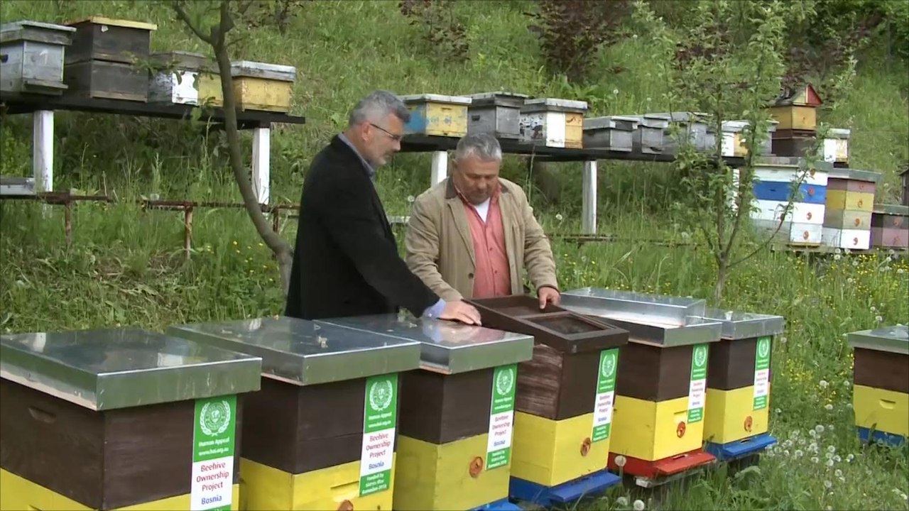الزحف العمراني.. خطر يهدد صناعة العسل بالبوسنة