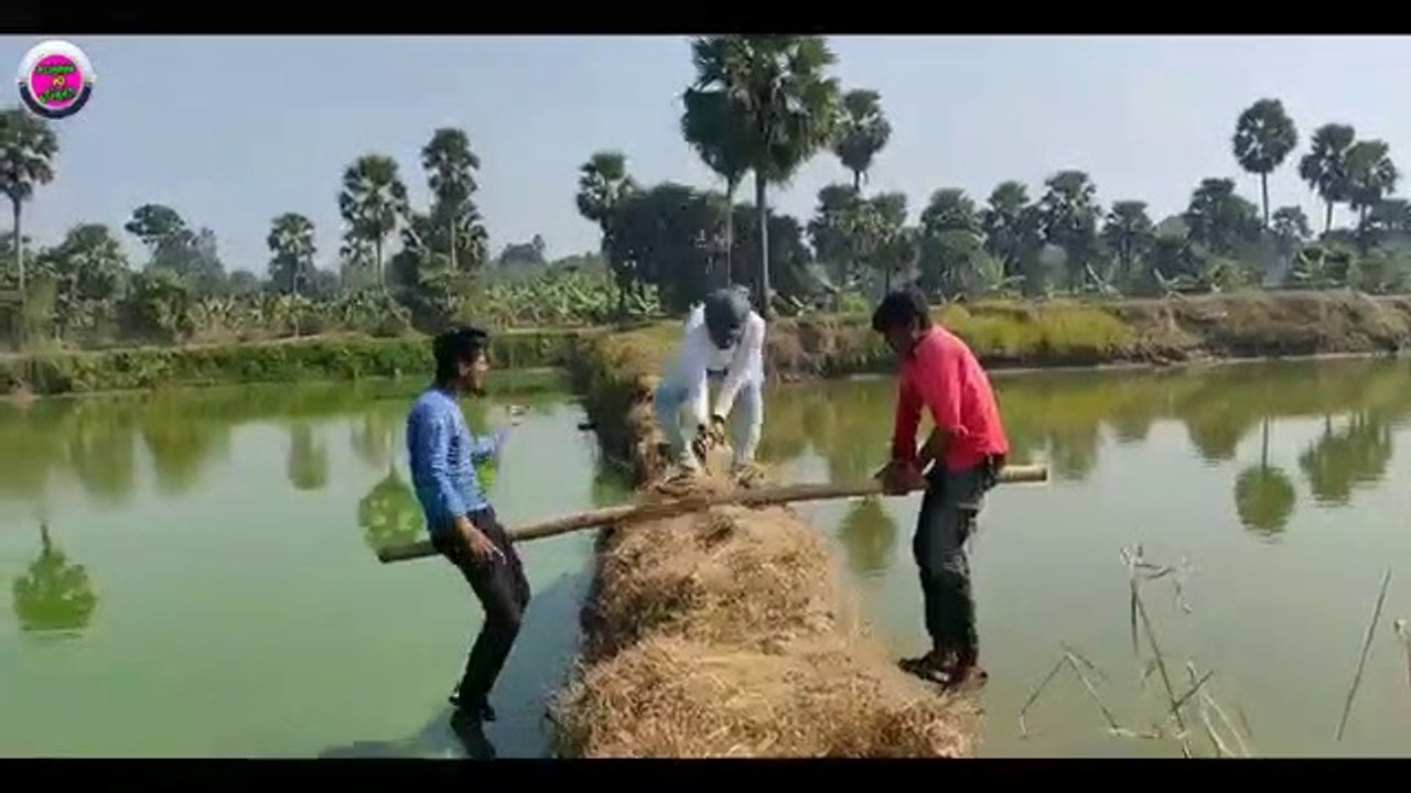 Must Watch Funny Comedy Videos 2019 _ Funny Ki Vines _ Ep - 5