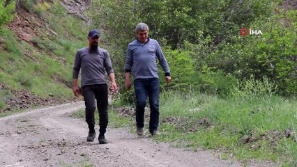 Oltu’da 1 buçuk metrelik Hopa Engereği görüldü