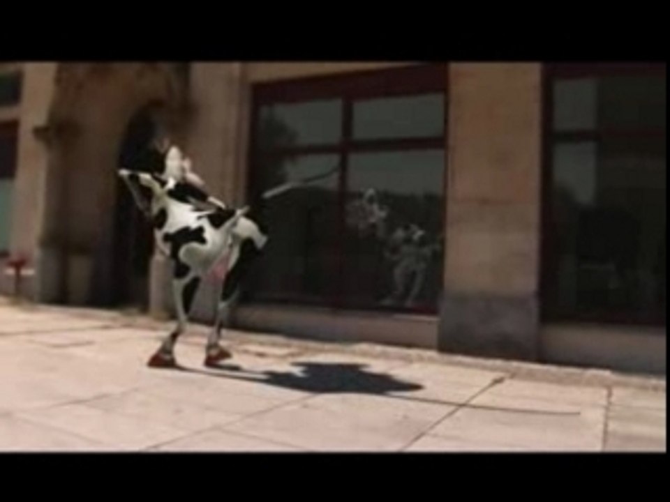 Crazy cow