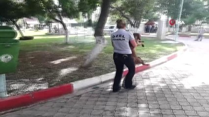 Sokak Köpeğini Bıçaklayarak, Ölüme Terk Ettiler